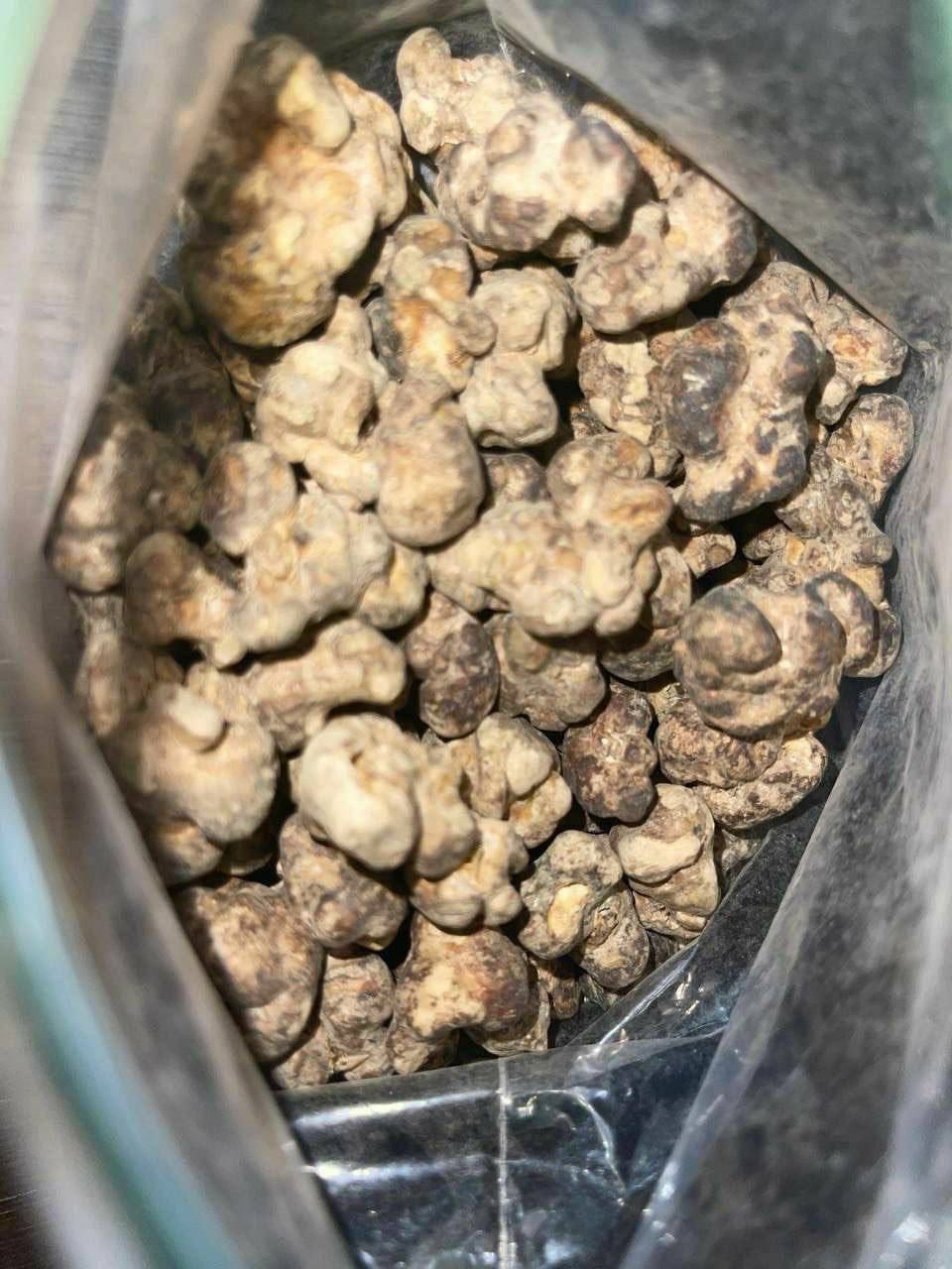 truffle mushroom truffle mushroom