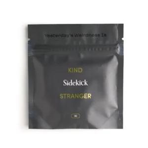 sidekick 1 1.webp