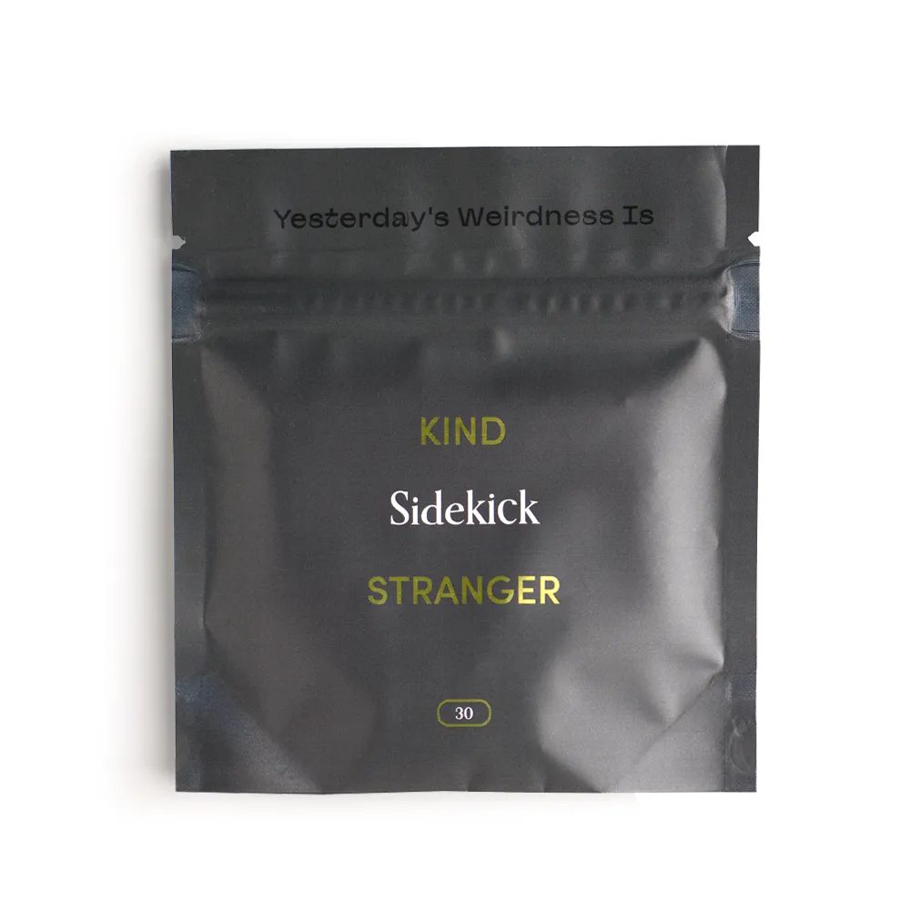 sidekick 1 1.webp sidekick 1 1.webp