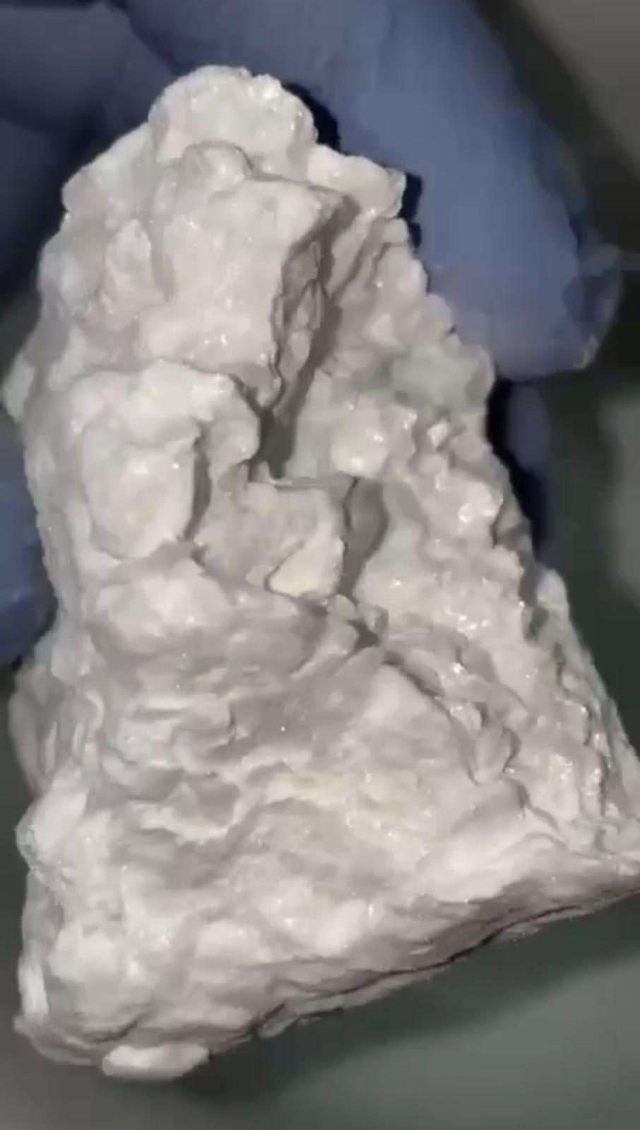 mushroomdeliverycanada.ca